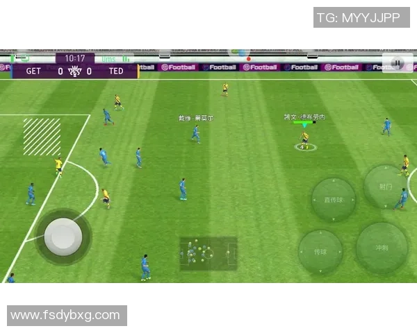 广州排球队阵地战体系探讨与战术创新分析